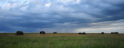 The great expanse of the Mara | Maasai Mara 2017